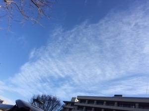 1月3日　ラッキー空へ帰る①